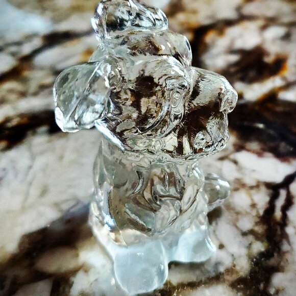 The Power of the Glass Pet Schnauzer - Picture 5 of 10